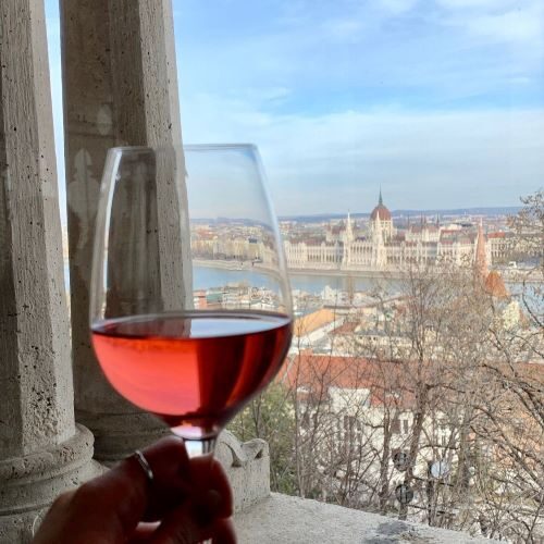 Wine in Budapest