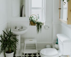 Read more about the article Nature-Inspired: Spruce Up Your Downstairs Toilet